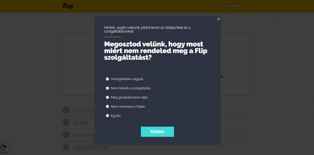 Flip
