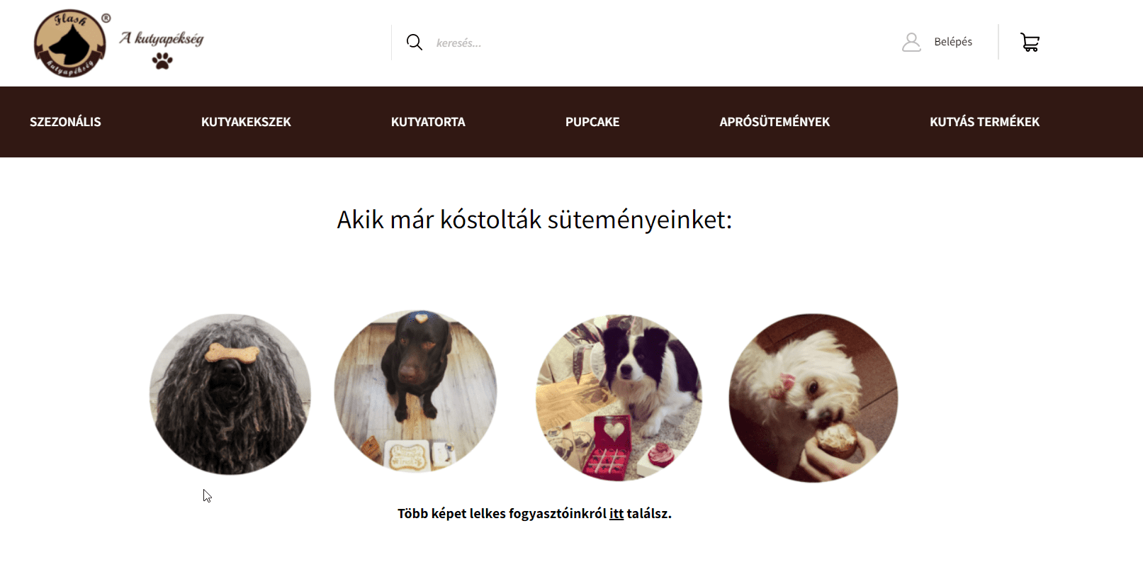kutyaeledel webshop inspiráció