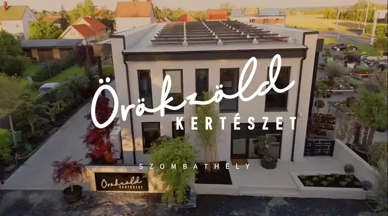 Örökzöld Kertészet