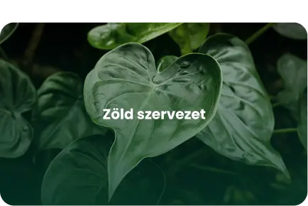 Zöld szervezet