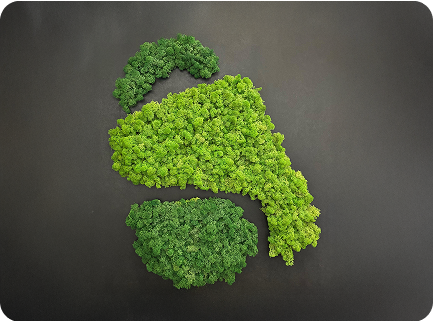 Erős céges kultúra